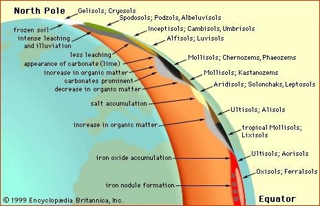 Figure 2: Soil types in the Northern Hemisphere and their weathering processes classified by both the World Reference Base adn USDA Soil Taxonomy.