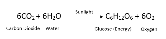 Chemical equation for photosynthesis. Learn more about photosynthesis and Rubisco [here.](https://bigpictureeducation.com/great-rubisco-and-its-amazing-carbon-fixation)