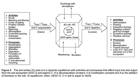 **Figure 3** The dynamic equilibrium of activities and processes that all contribute to losses and gains of soil carbon to determine the carbon balance in an ecosystem.