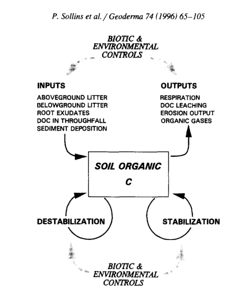 Fig 1. Sollins et al. (1996) is a fantastic paper that brings together many of the budding ideas in soil science at the time.  It is a concrete and well discussed paper on how SOM storage can be conceptualized