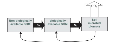 Figure 1, from Kemmitt et al (2008). DOI: 10.1016/j.soilbio.2007.06.021