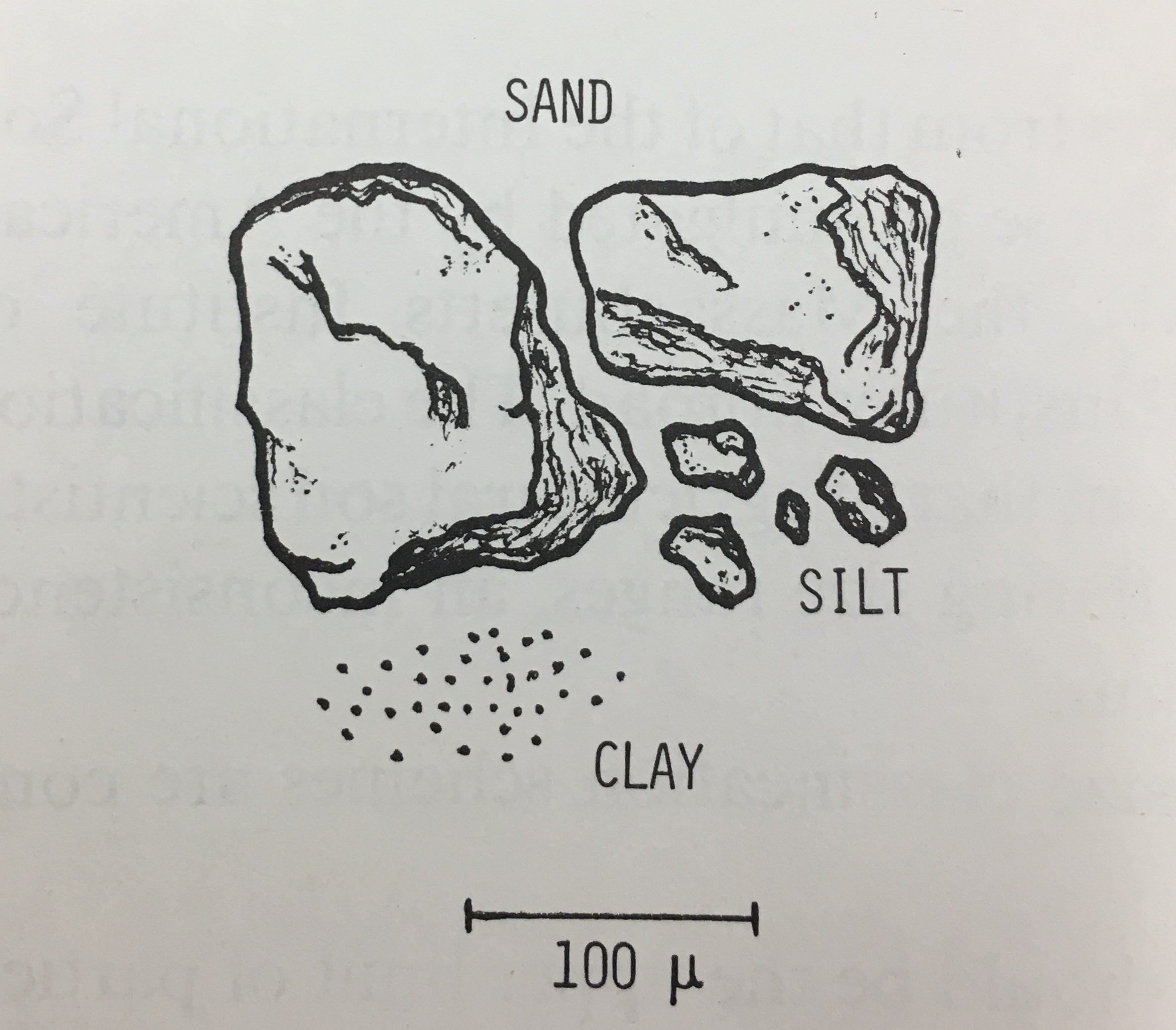 Figure 2. Visual comparison of the size and shapes of each separate. Refer to the text written by Hillel for the original image.