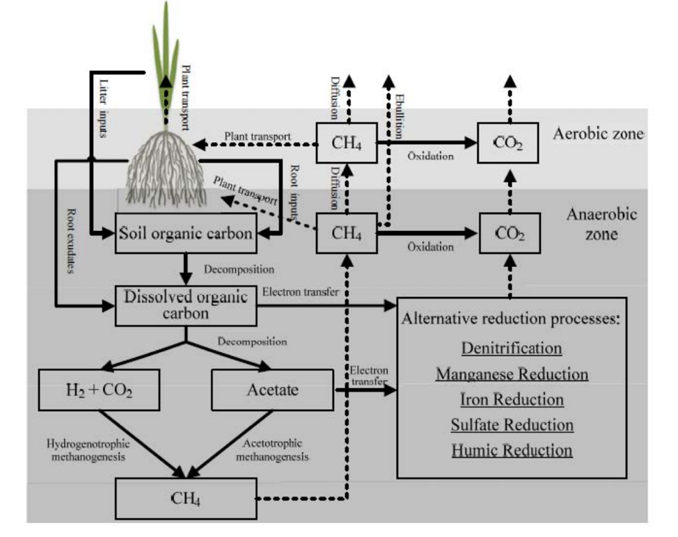 Figure 1 – As an example, see the approach that the modified DNDC SOM Model uses to simulate soil biogeochemistry and GHG dynamics. From [DNDC (Version 9.5) Scientific Basis and Processes](http://www.dndc.sr.unh.edu/papers/DNDC_Scientific_Basis_and_Processes.pdf)