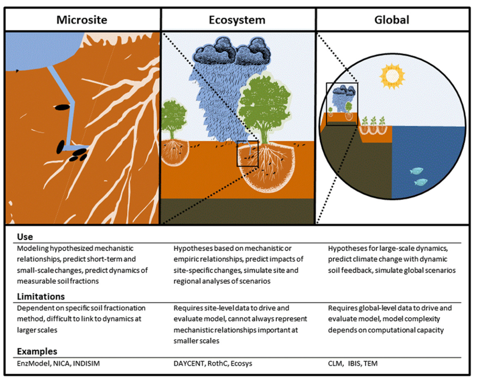 Figure 4 - One of the main challenges faced by SOM models is to estimate across spatial and temporal scales.  From [Campbell and Paustian (2015)](https://doi.org/10.1088/1748-9326/10/12/123004)