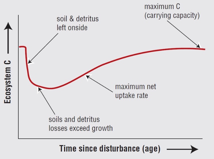 Figure 1. Net changes in ecosystem C stocks over time from [IPCC](pdf)