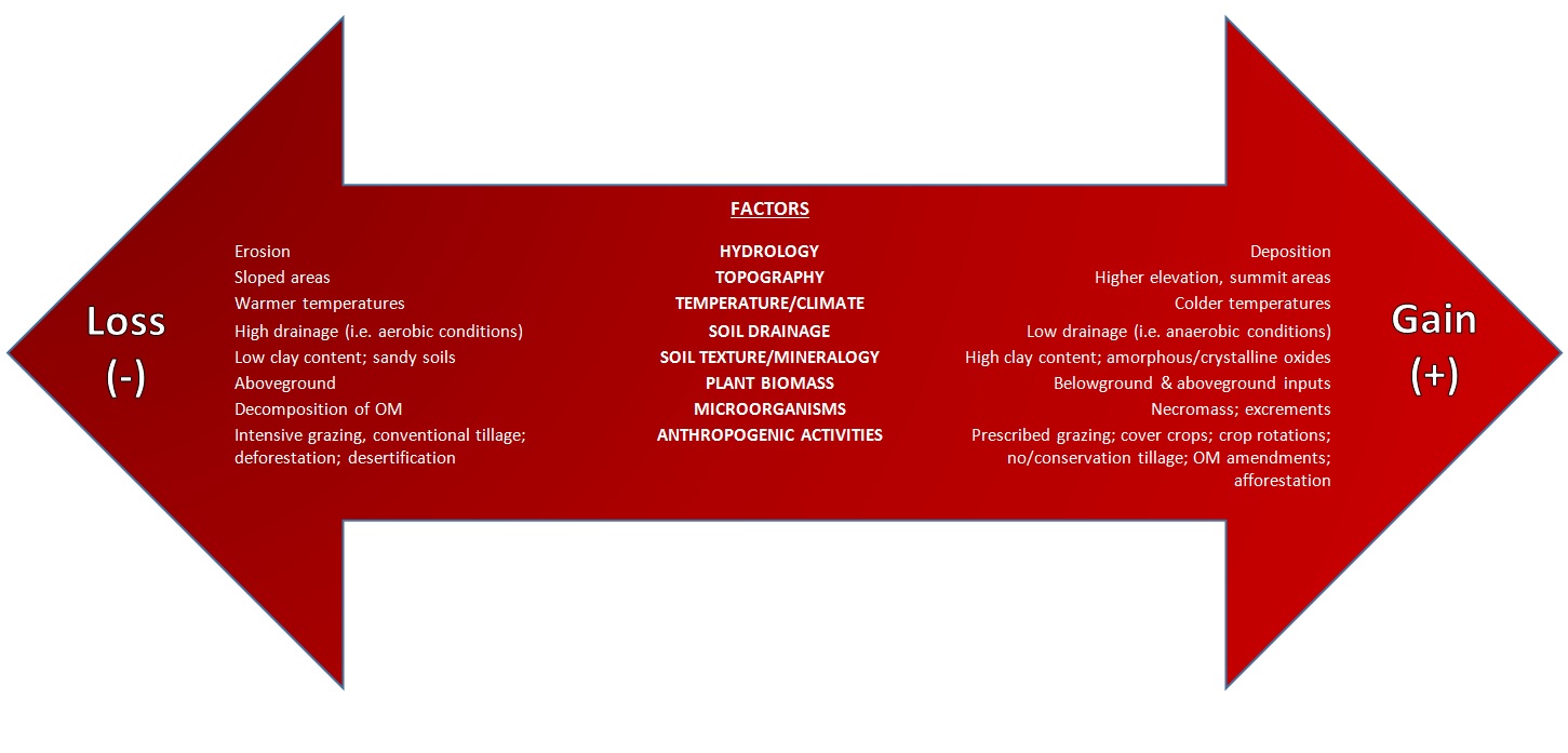 Figure 2. Factors that drive SOM dynamics from Kristy Lam