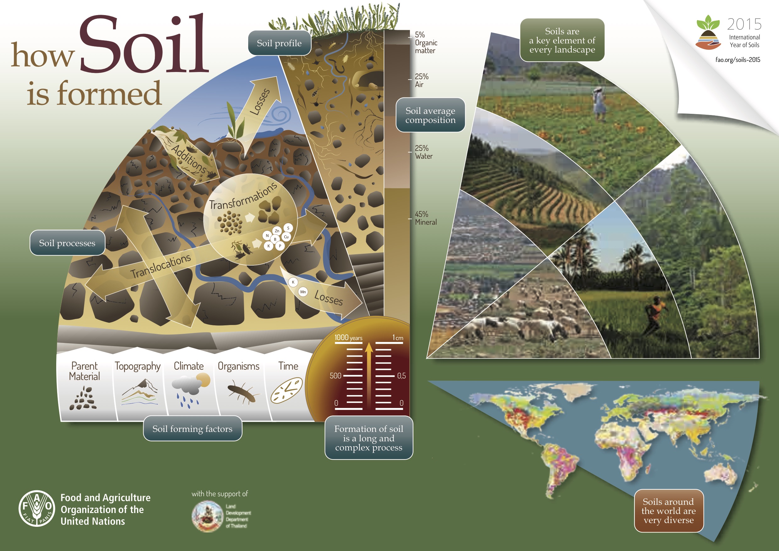 Dynamic role of soil and terrestrial ecosystems in the global C cycle ...