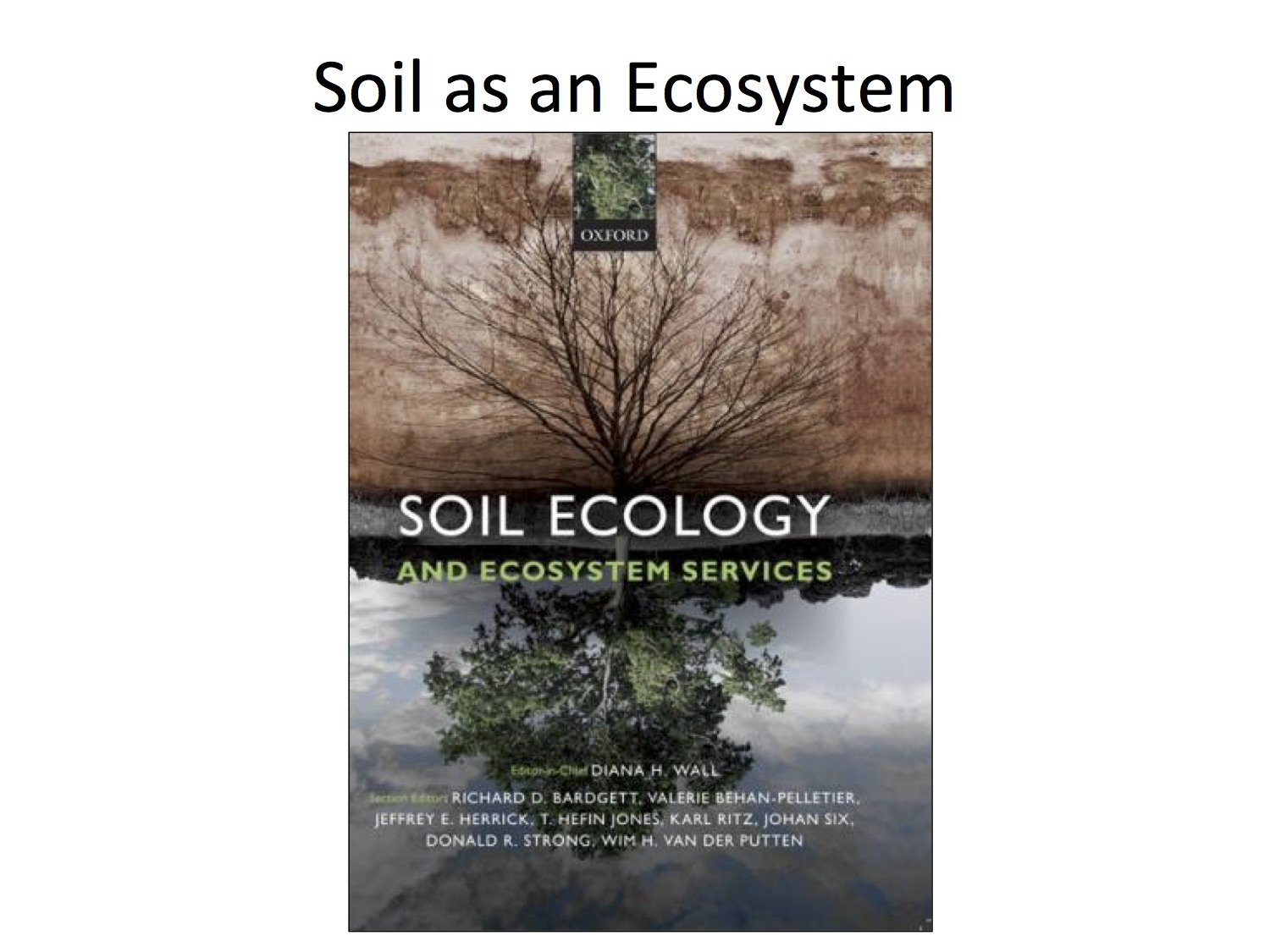 Soil organisms